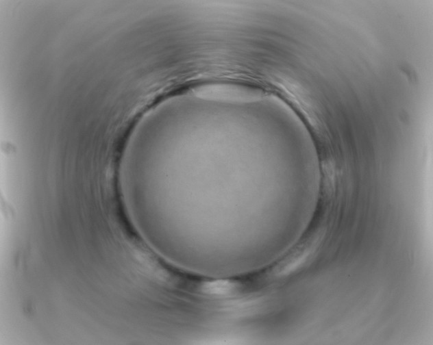 X0000091310269200708101509