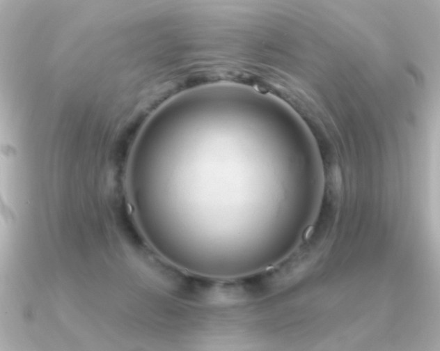 X0000091310270200708101509