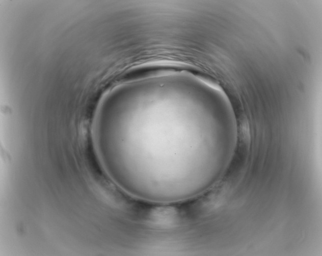 X0000091310271200708101509