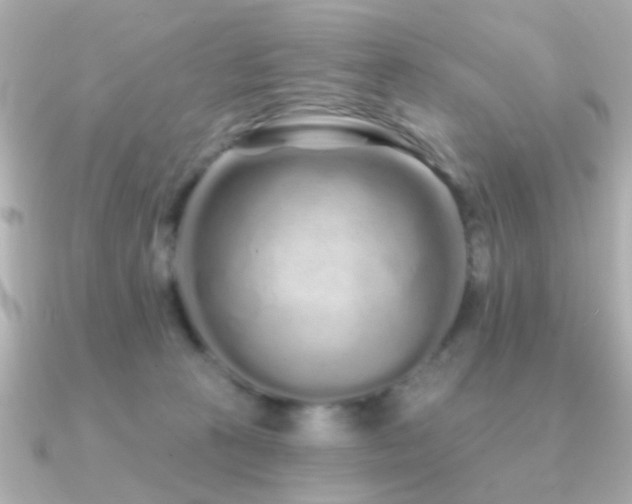 X0000091310273200708101509