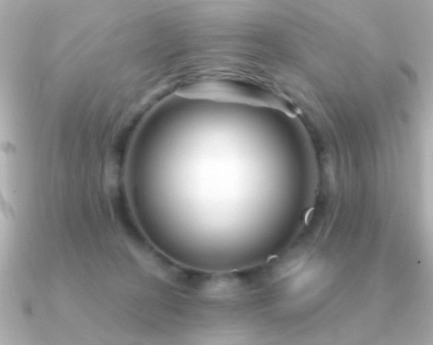 X0000091310274200708101509