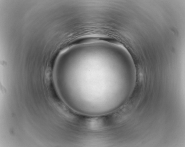 X0000091310275200708101509