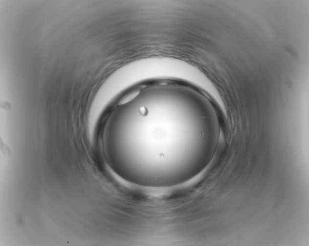 X0000091310276200708101509