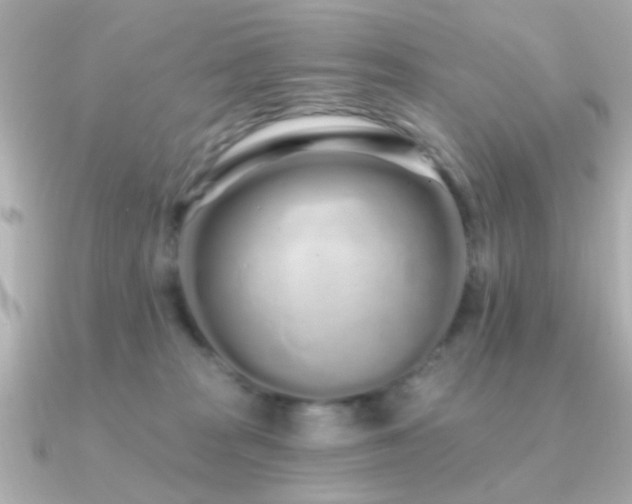 X0000091310277200708101509