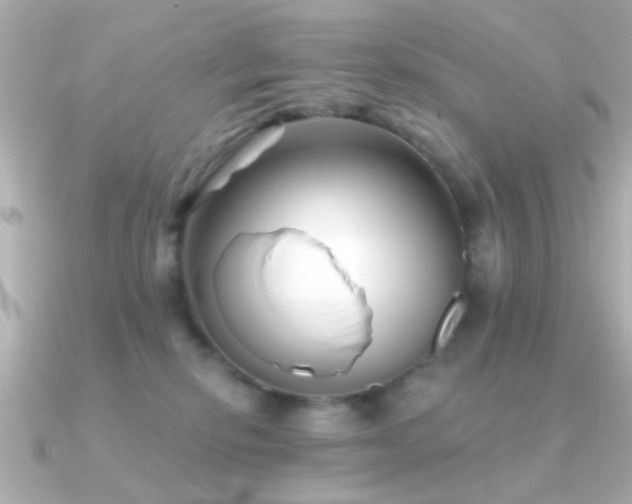 X0000091310278200708101509