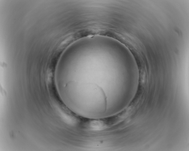 X0000091310279200708101509