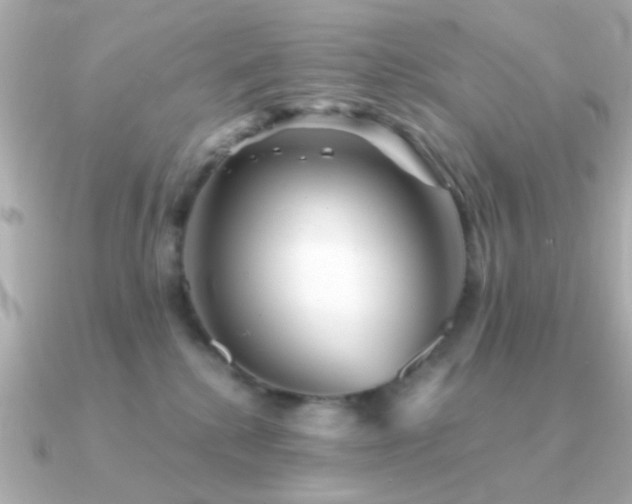 X0000091310280200708101509