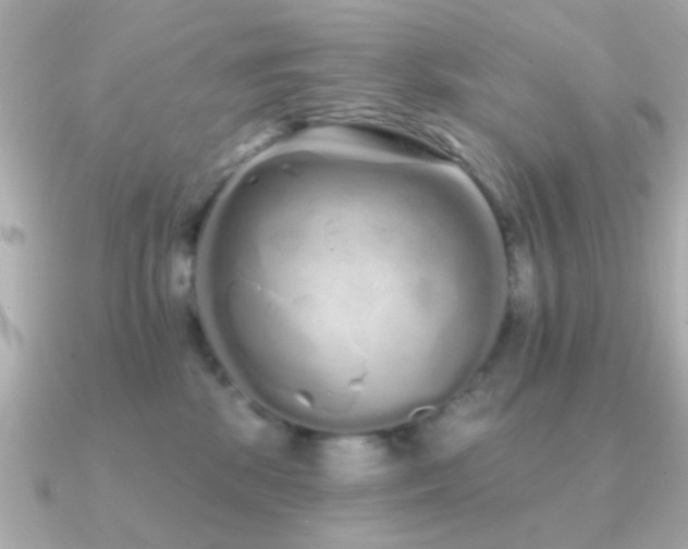 X0000091310281200708101509