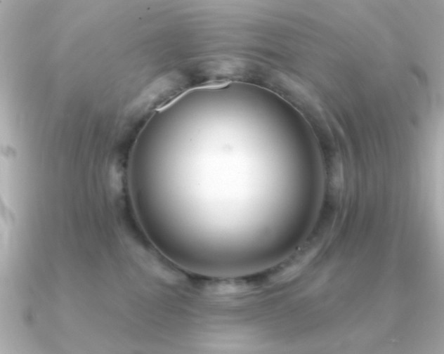 X0000091310282200708101509