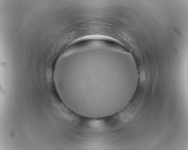 X0000091310283200708101509