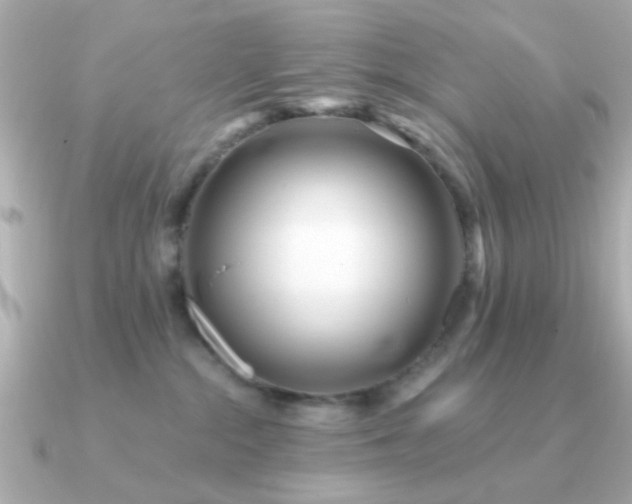 X0000091310284200708101509