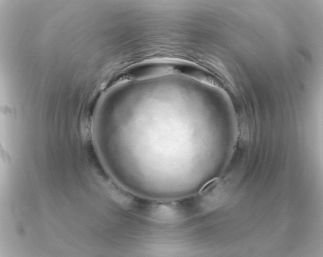 X0000091310285200708101509