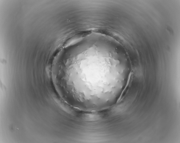 X0000091310286200708101509