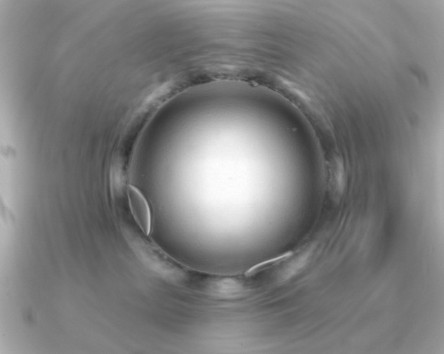 X0000091310287200708101509