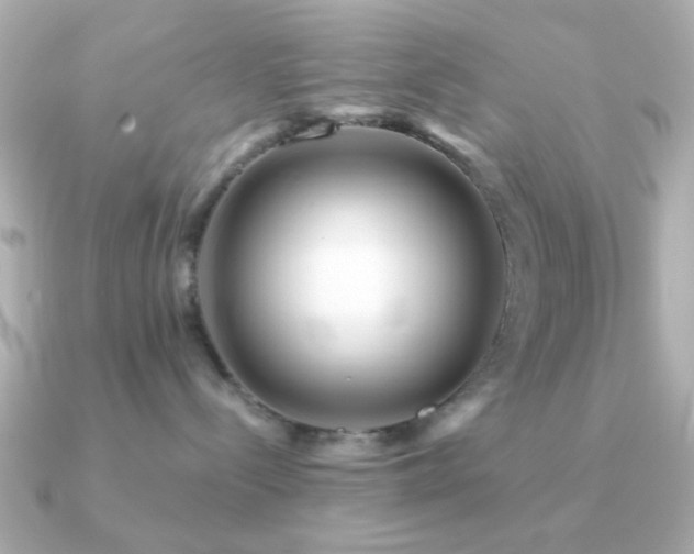 X0000091310288200708101509