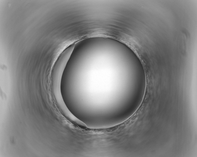 X0000091310289200708101508