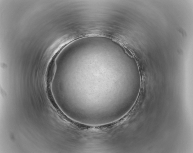 X0000091310290200708101508