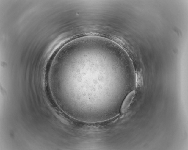 X0000091310291200708101508