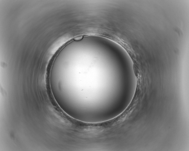 X0000091310292200708101508