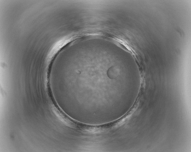 X0000091310293200708101508