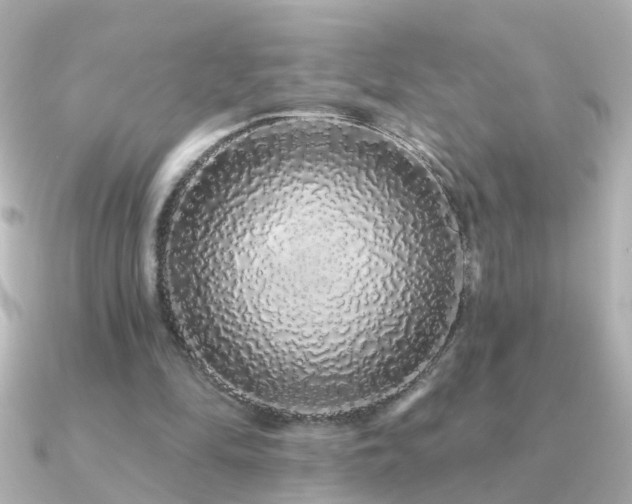 X0000091310294200708101508