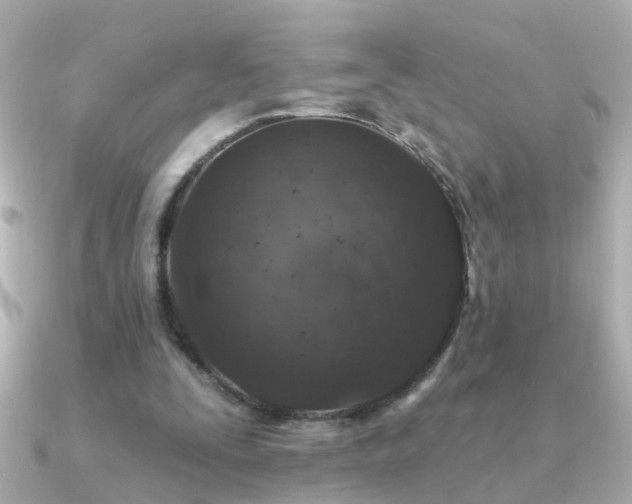 X0000091310295200708101508