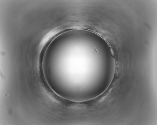 X0000091310296200708101508