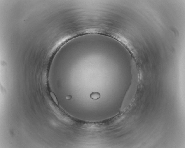 X0000091310297200708101508