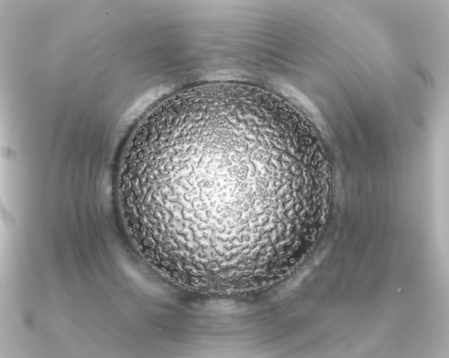 X0000091310298200708101508