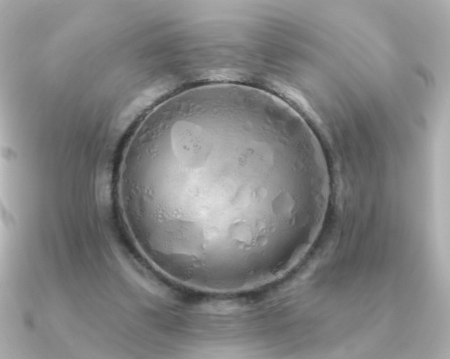 X0000091310299200708101508