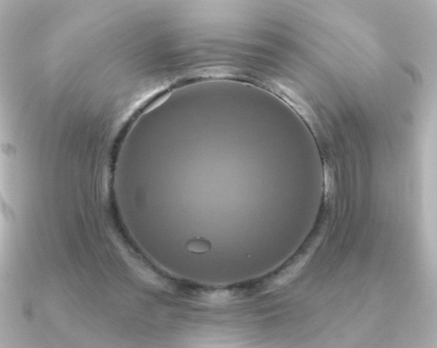 X0000091310301200708101508