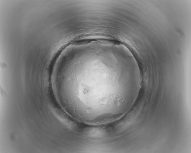 X0000091310303200708101508