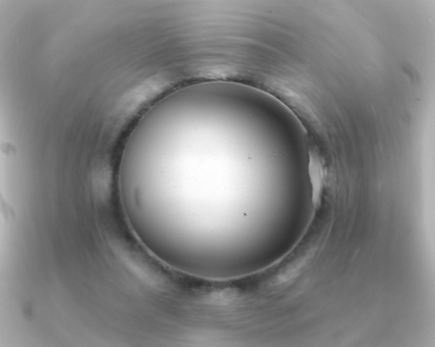 X0000091310304200708101508