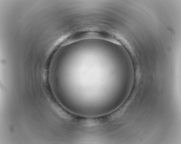 X0000091310305200708101508