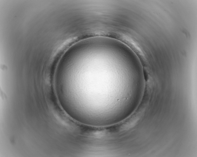 X0000091310306200708101508