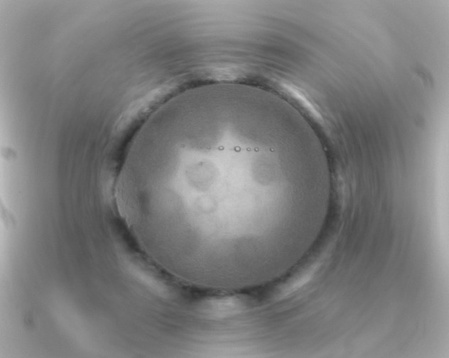 X0000091310307200708101508