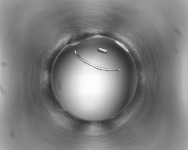 X0000091310308200708101508