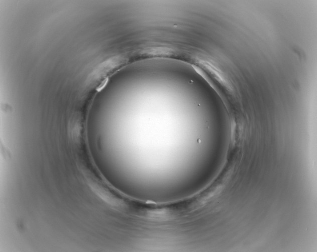 X0000091310309200708101508