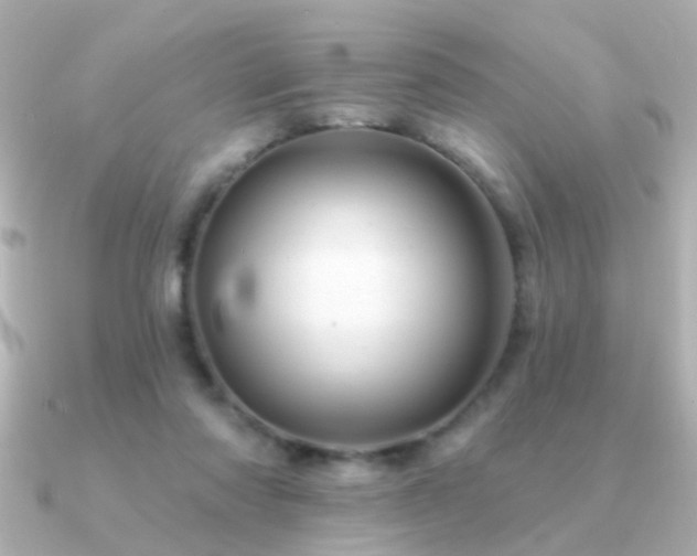 X0000091310310200708101508