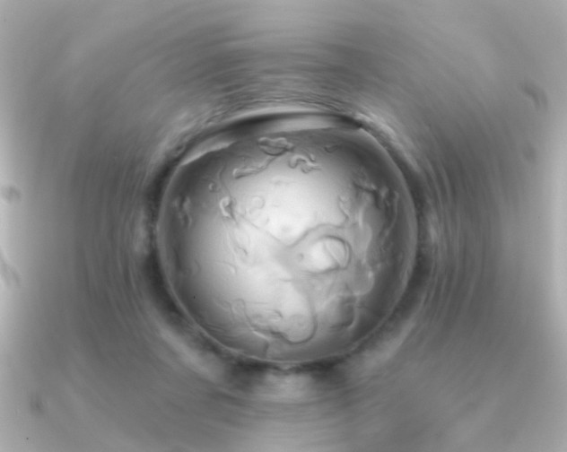 X0000091310311200708101508