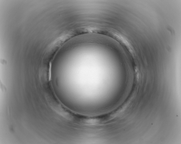 X0000091310313200708101508