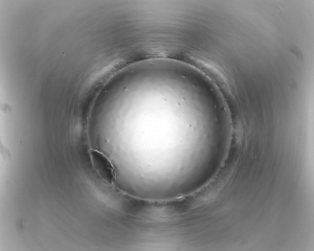 X0000091310314200708101508