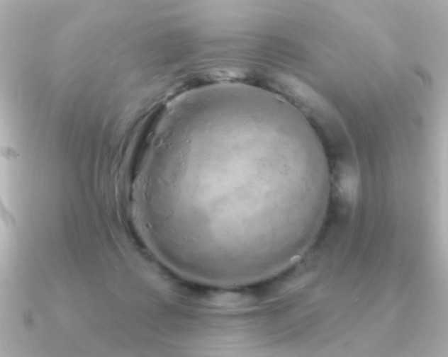 X0000091310315200708101508