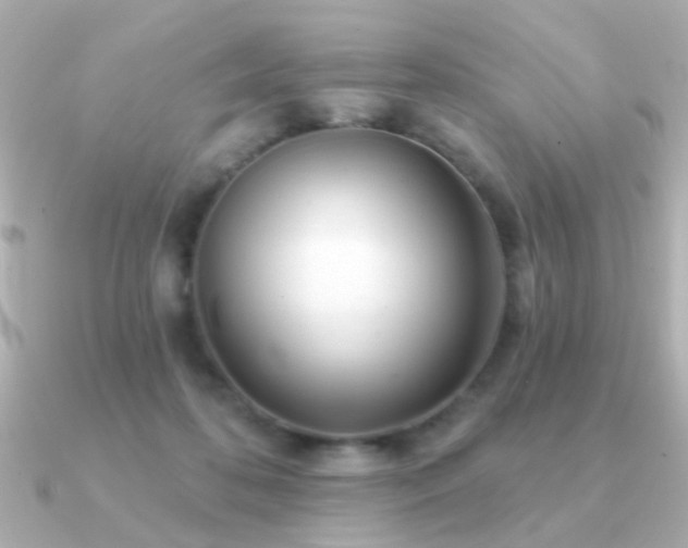 X0000091310316200708101508