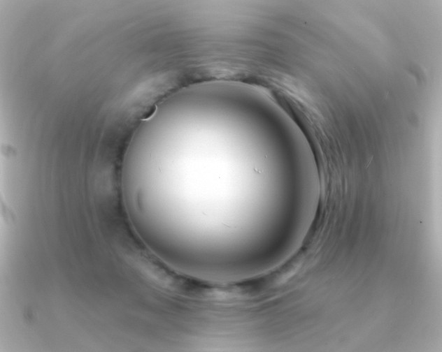 X0000091310317200708101508