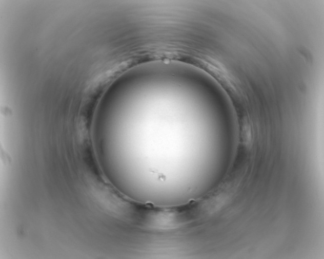 X0000091310318200708101508