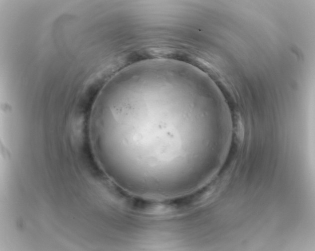 X0000091310319200708101508