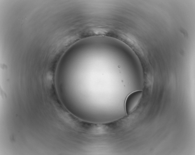 X0000091310321200708101508