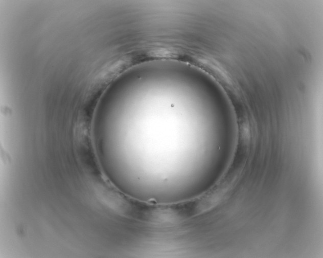 X0000091310322200708101508