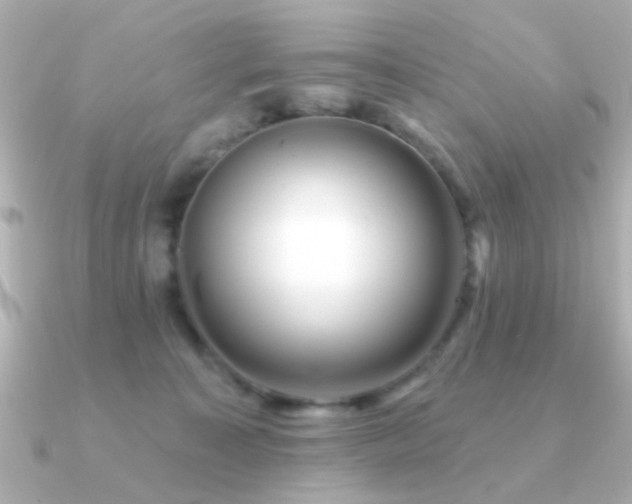 X0000091310323200708101508